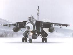 Jaguar Landing Snow.jpg